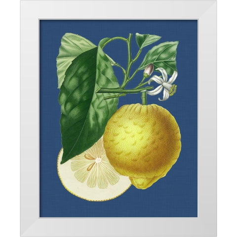 French Lemon on Navy I White Modern Wood Framed Art Print by Risso, A.