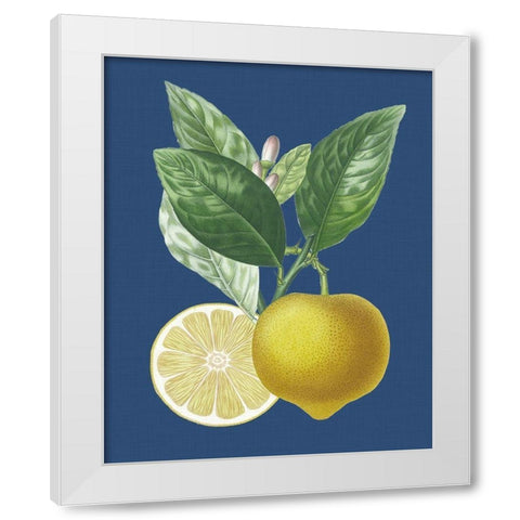 French Lemon on Navy II White Modern Wood Framed Art Print by Risso, A.