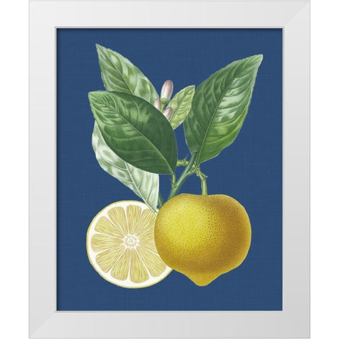 French Lemon on Navy II White Modern Wood Framed Art Print by Risso, A.