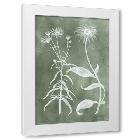 Sage Impressions IV White Modern Wood Framed Art Print by Vision Studio