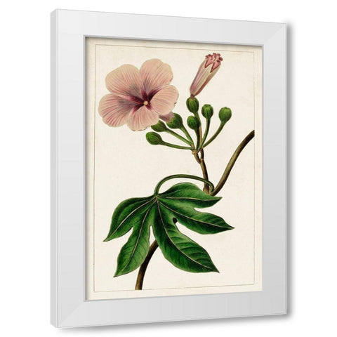 Mauve Botanicals I White Modern Wood Framed Art Print by Unknown
