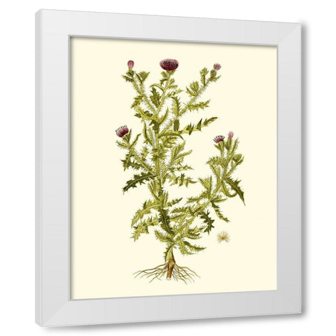 Olive Greenery II White Modern Wood Framed Art Print by Unknown