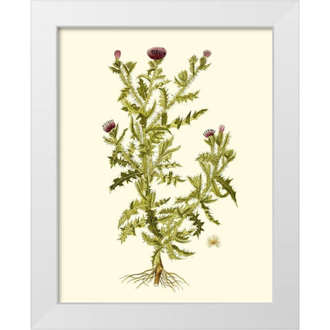 Olive Greenery II White Modern Wood Framed Art Print by Unknown