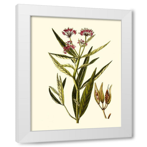 Olive Greenery VIII White Modern Wood Framed Art Print by Unknown