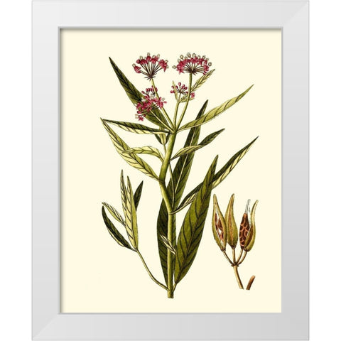 Olive Greenery VIII White Modern Wood Framed Art Print by Unknown