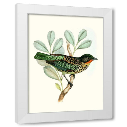 On Perch I White Modern Wood Framed Art Print by Unknown