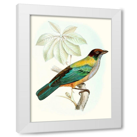 On Perch III White Modern Wood Framed Art Print by Unknown