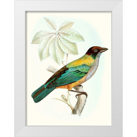 On Perch III White Modern Wood Framed Art Print by Unknown