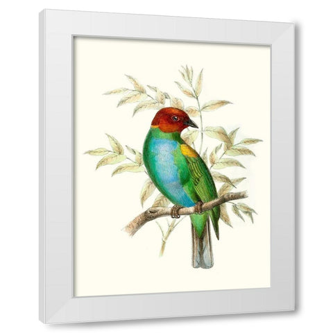 On Perch IV White Modern Wood Framed Art Print by Unknown
