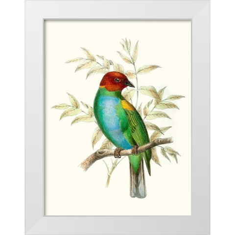 On Perch IV White Modern Wood Framed Art Print by Unknown