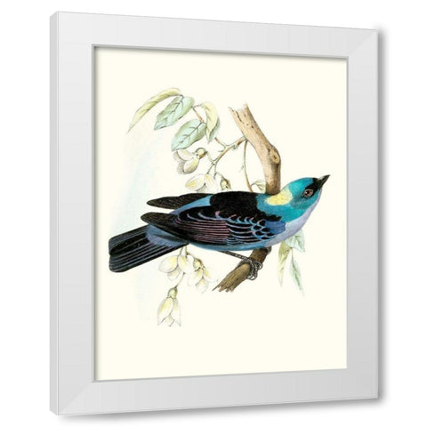 On Perch VII White Modern Wood Framed Art Print by Unknown