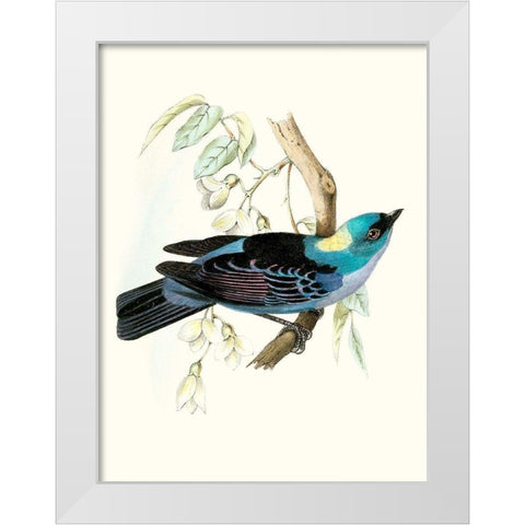 On Perch VII White Modern Wood Framed Art Print by Unknown