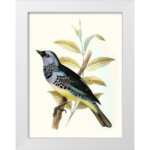 On Perch VIII White Modern Wood Framed Art Print by Unknown