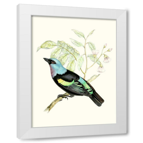 On Perch X White Modern Wood Framed Art Print by Unknown