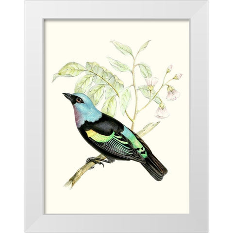 On Perch X White Modern Wood Framed Art Print by Unknown
