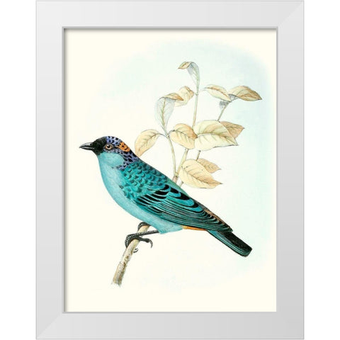 On Perch XII White Modern Wood Framed Art Print by Unknown