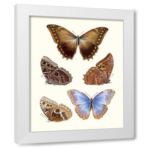 Violet Butterflies I White Modern Wood Framed Art Print by Unknown