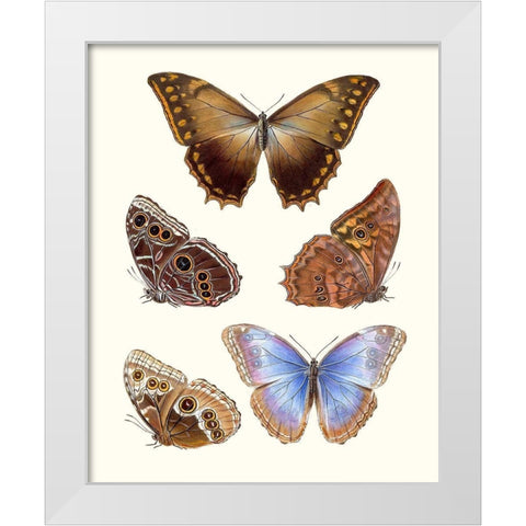 Violet Butterflies I White Modern Wood Framed Art Print by Unknown