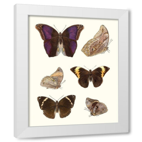 Violet Butterflies II White Modern Wood Framed Art Print by Unknown
