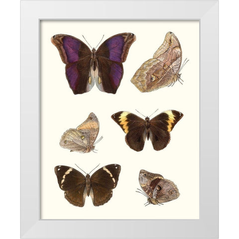 Violet Butterflies II White Modern Wood Framed Art Print by Unknown