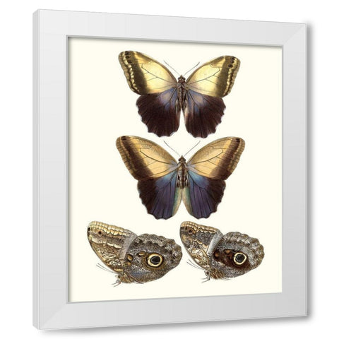 Violet Butterflies III White Modern Wood Framed Art Print by Unknown