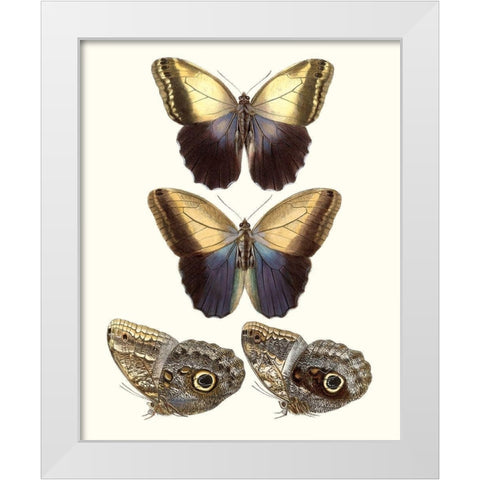 Violet Butterflies III White Modern Wood Framed Art Print by Unknown