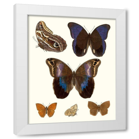 Violet Butterflies IV White Modern Wood Framed Art Print by Unknown