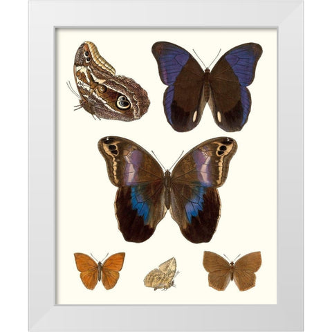 Violet Butterflies IV White Modern Wood Framed Art Print by Unknown