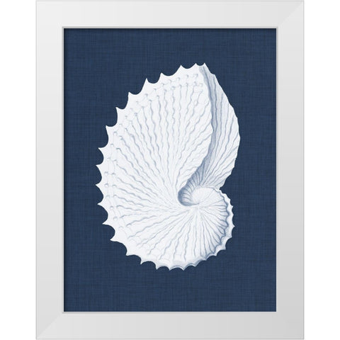 Coquillages Blancs V White Modern Wood Framed Art Print by Vision Studio