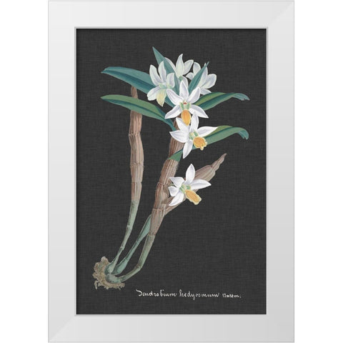 Orchid on Slate I White Modern Wood Framed Art Print by Vision Studio