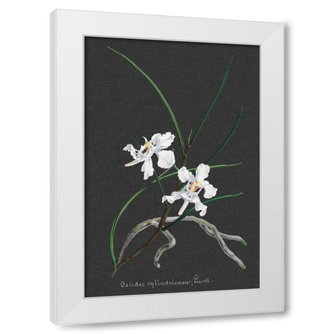 Orchid on Slate II White Modern Wood Framed Art Print by Vision Studio