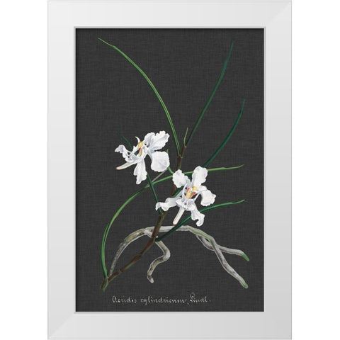 Orchid on Slate II White Modern Wood Framed Art Print by Vision Studio