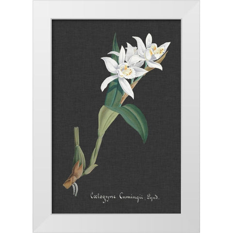 Orchid on Slate III White Modern Wood Framed Art Print by Vision Studio