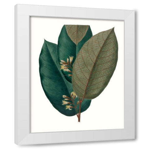 Fall Foliage I White Modern Wood Framed Art Print by Unknown