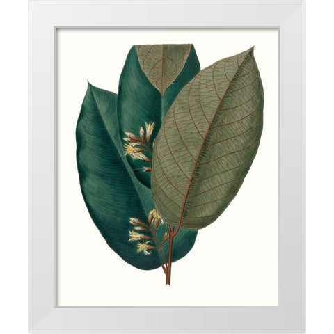 Fall Foliage I White Modern Wood Framed Art Print by Unknown