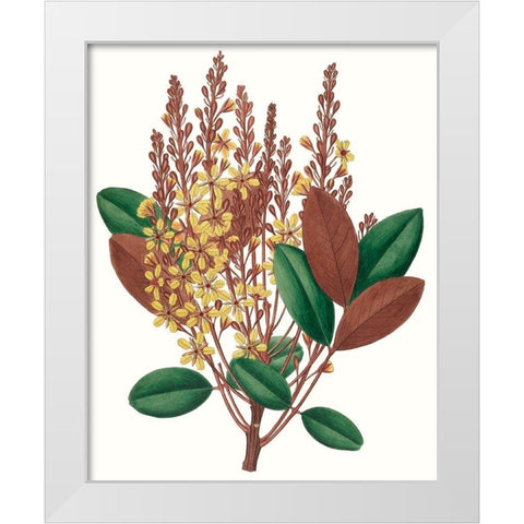 Fall Foliage II White Modern Wood Framed Art Print by Unknown