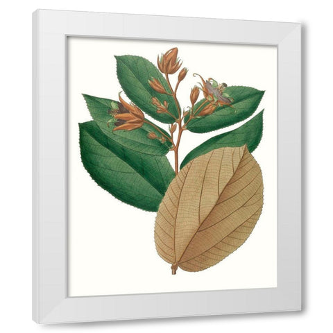 Fall Foliage III White Modern Wood Framed Art Print by Unknown