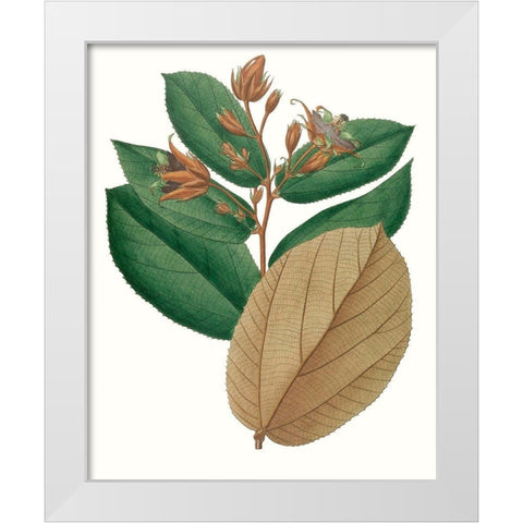 Fall Foliage III White Modern Wood Framed Art Print by Unknown