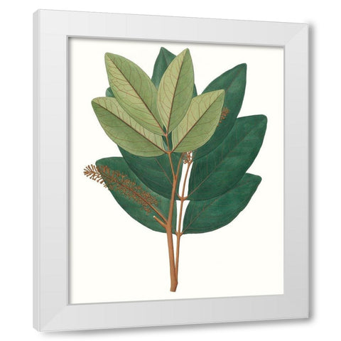 Fall Foliage IV White Modern Wood Framed Art Print by Unknown