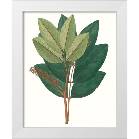 Fall Foliage IV White Modern Wood Framed Art Print by Unknown