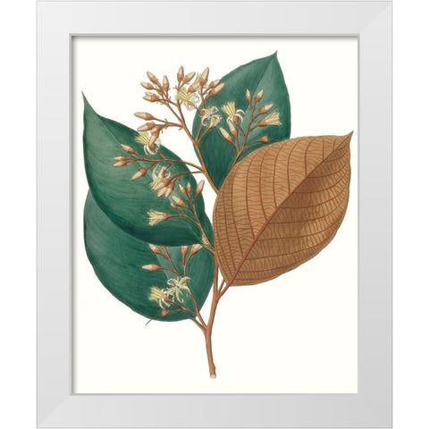 Fall Foliage V White Modern Wood Framed Art Print by Unknown