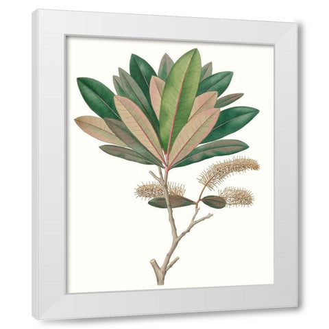 Fall Foliage VI White Modern Wood Framed Art Print by Unknown