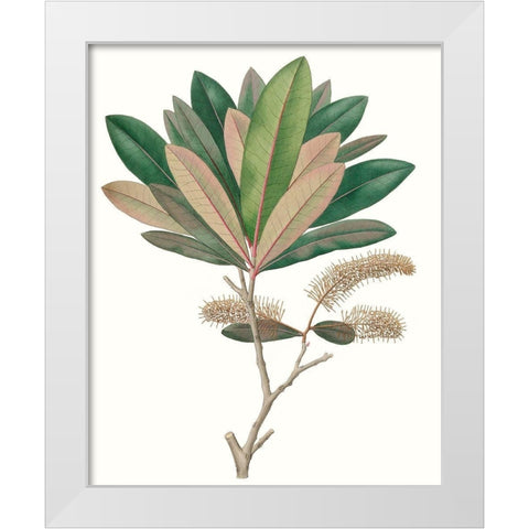 Fall Foliage VI White Modern Wood Framed Art Print by Unknown