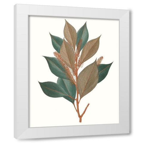 Fall Foliage VII White Modern Wood Framed Art Print by Unknown