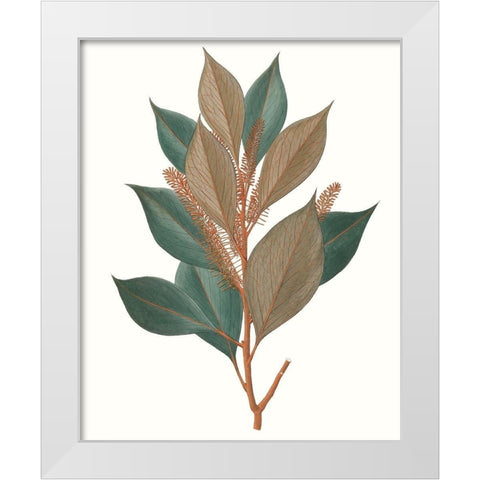 Fall Foliage VII White Modern Wood Framed Art Print by Unknown