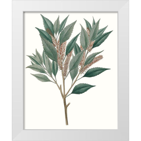 Fall Foliage VIII White Modern Wood Framed Art Print by Unknown