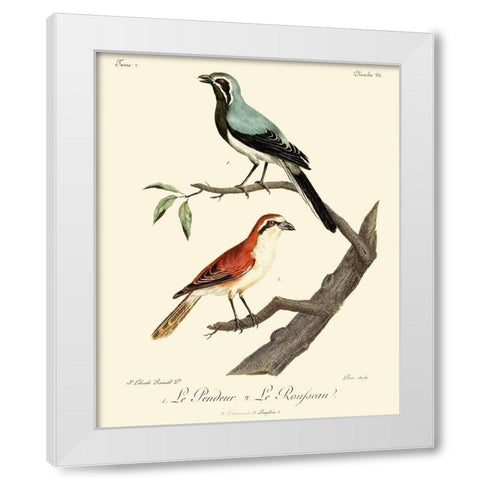Vintage French Birds II White Modern Wood Framed Art Print by de Langlois