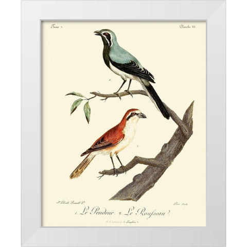Vintage French Birds II White Modern Wood Framed Art Print by de Langlois