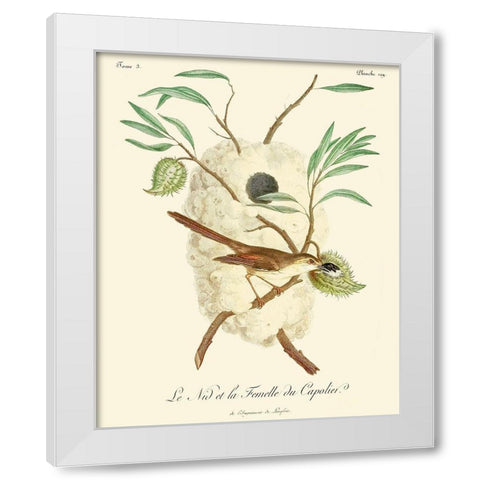 Vintage French Birds VII White Modern Wood Framed Art Print by de Langlois