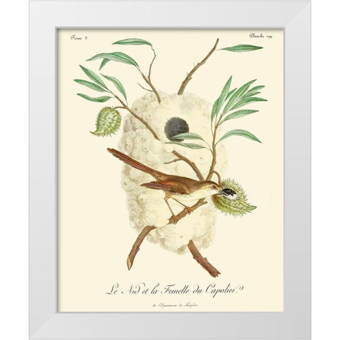 Vintage French Birds VII White Modern Wood Framed Art Print by de Langlois